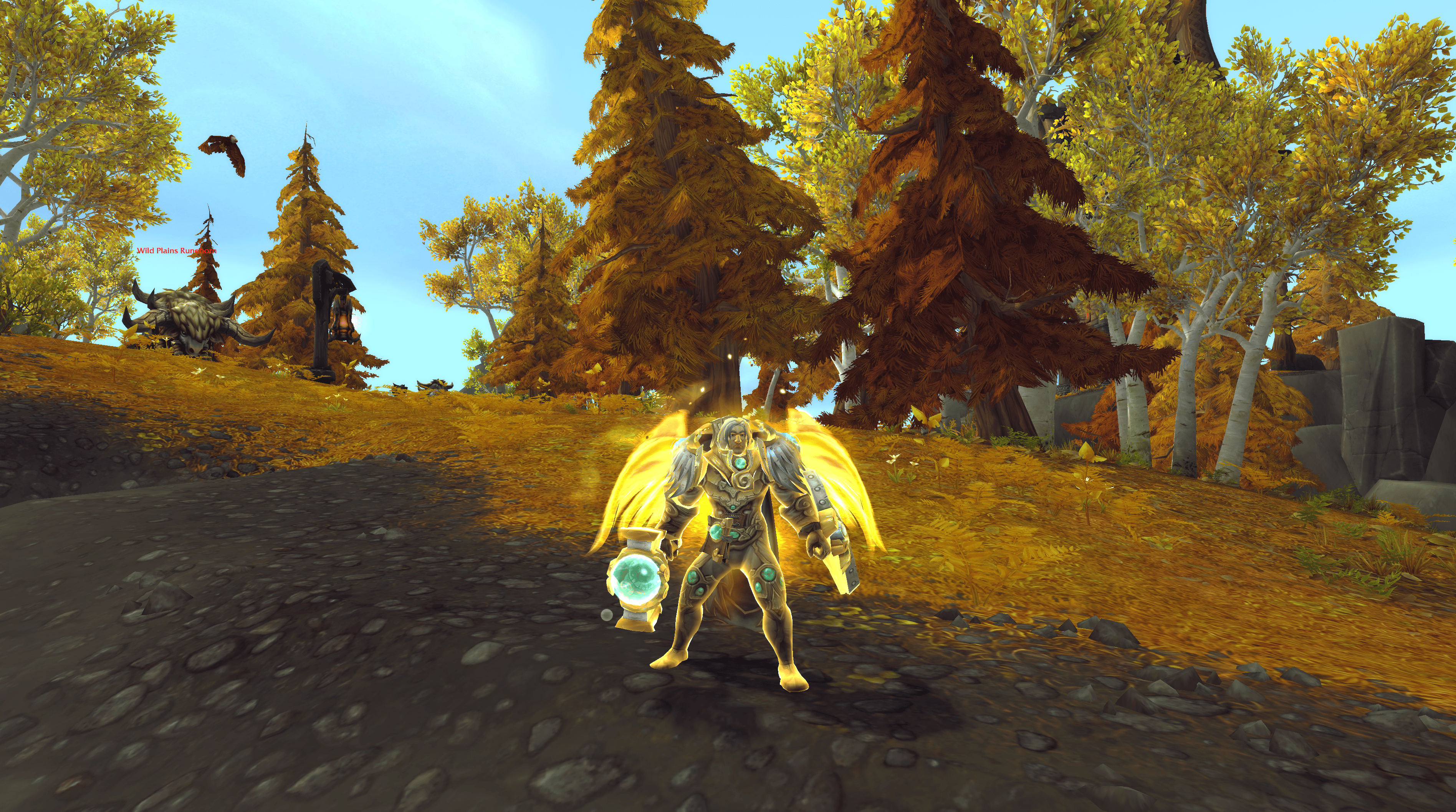 A Protection Paladin stands ready in World of Warcraft, equipping a hammer and a shield.