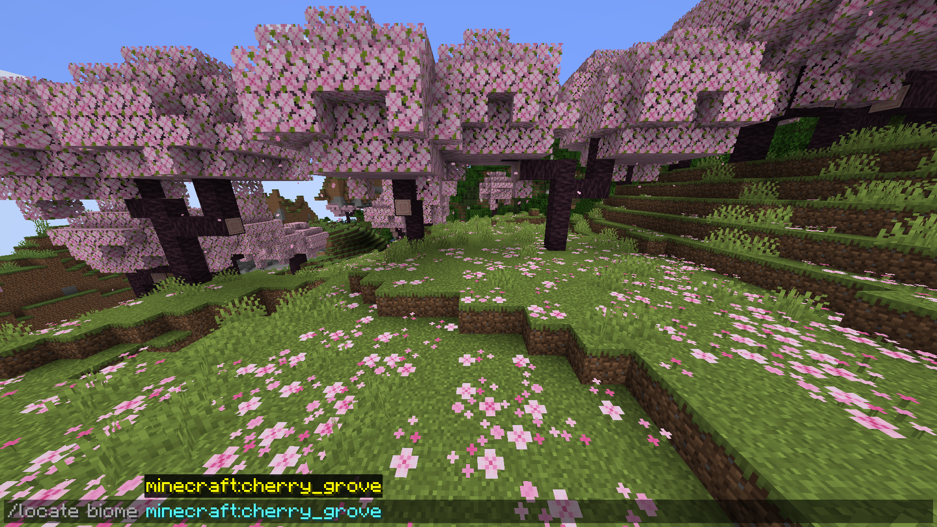 A cherry blossom biome with the "/locatebiome minecraft:cherry_grove" command typed into the chat box. 