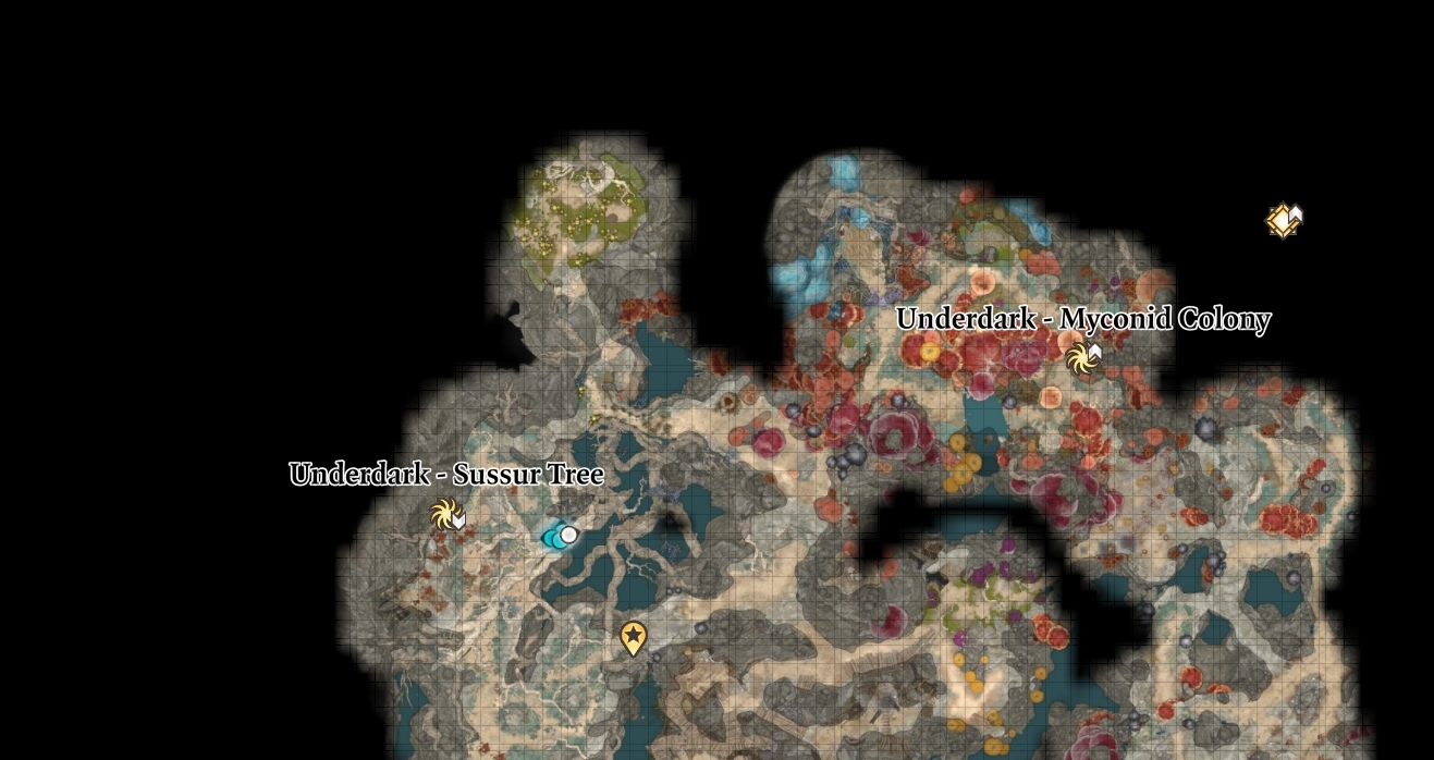 A map shot of the Underdark showing where the mushroom field is