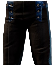 Dark leather trousers with three buttons on each side. These are the Magician Trousers from Enshrouded.