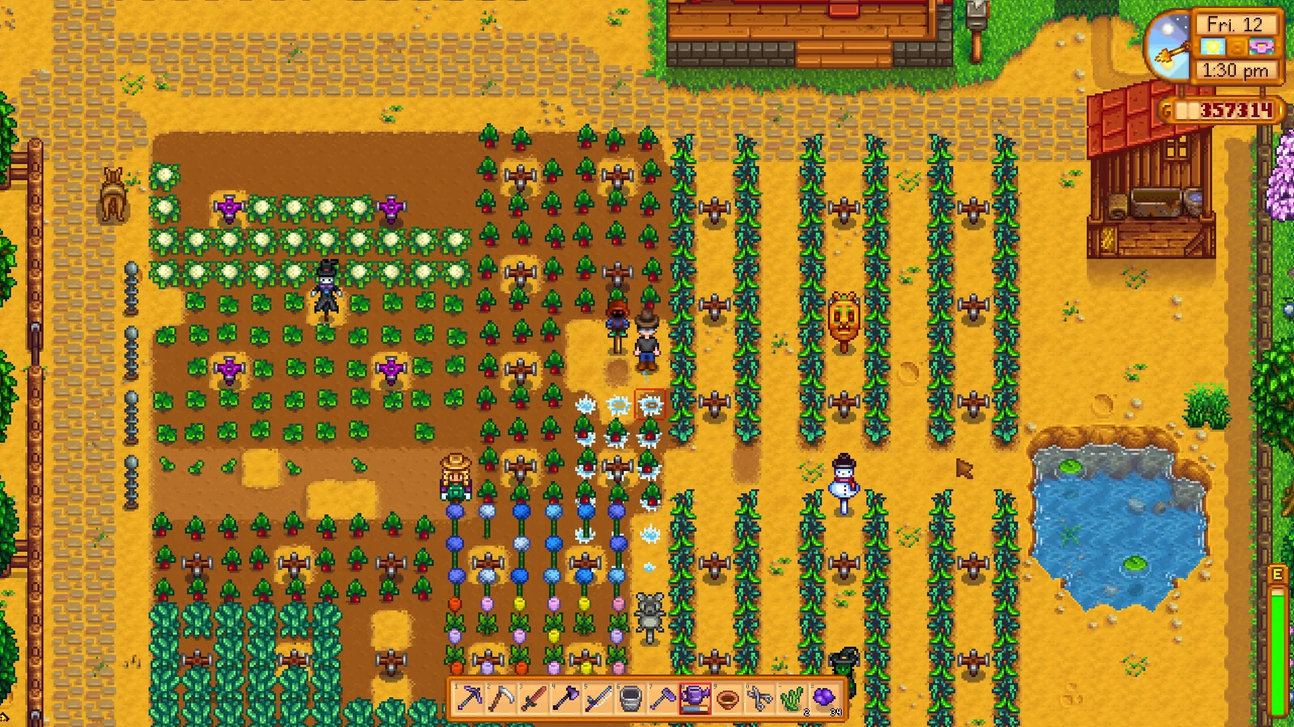 Stardew Valley field with plenty of crops growing