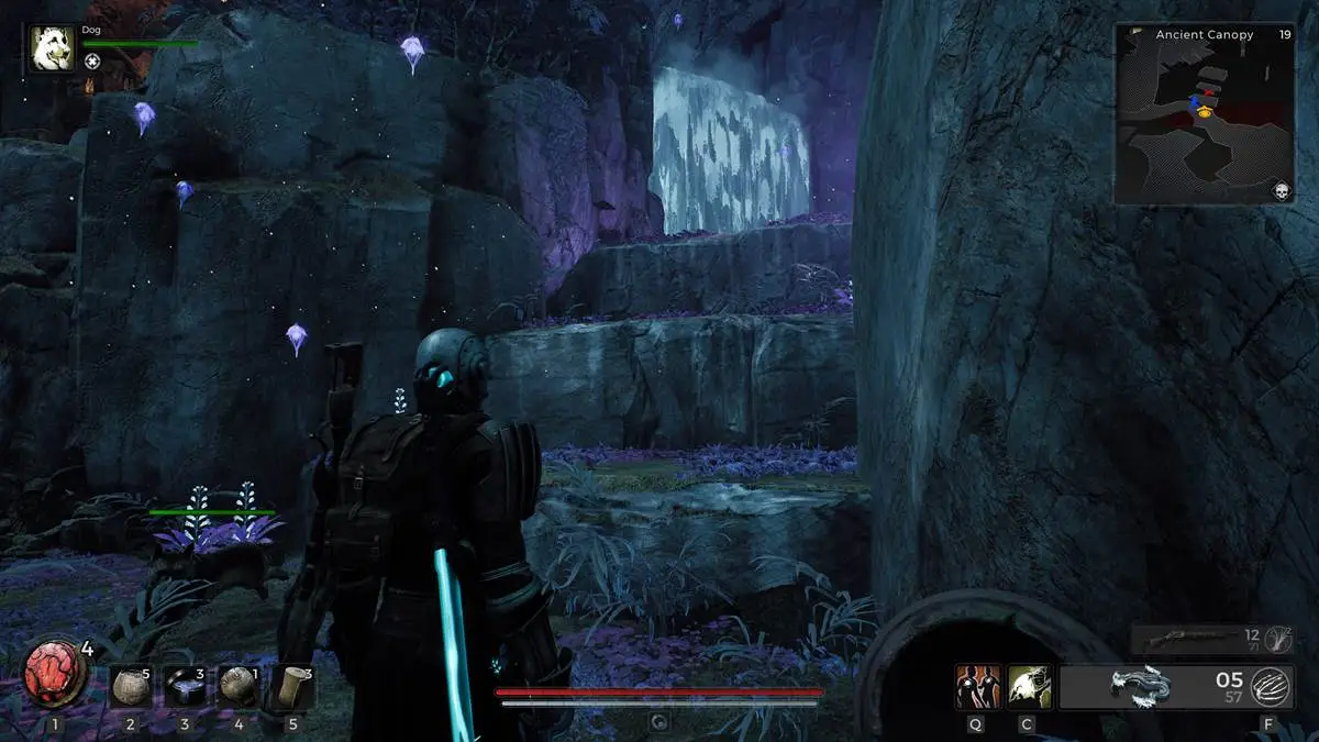 Remnant 2 character is looking at a waterfall