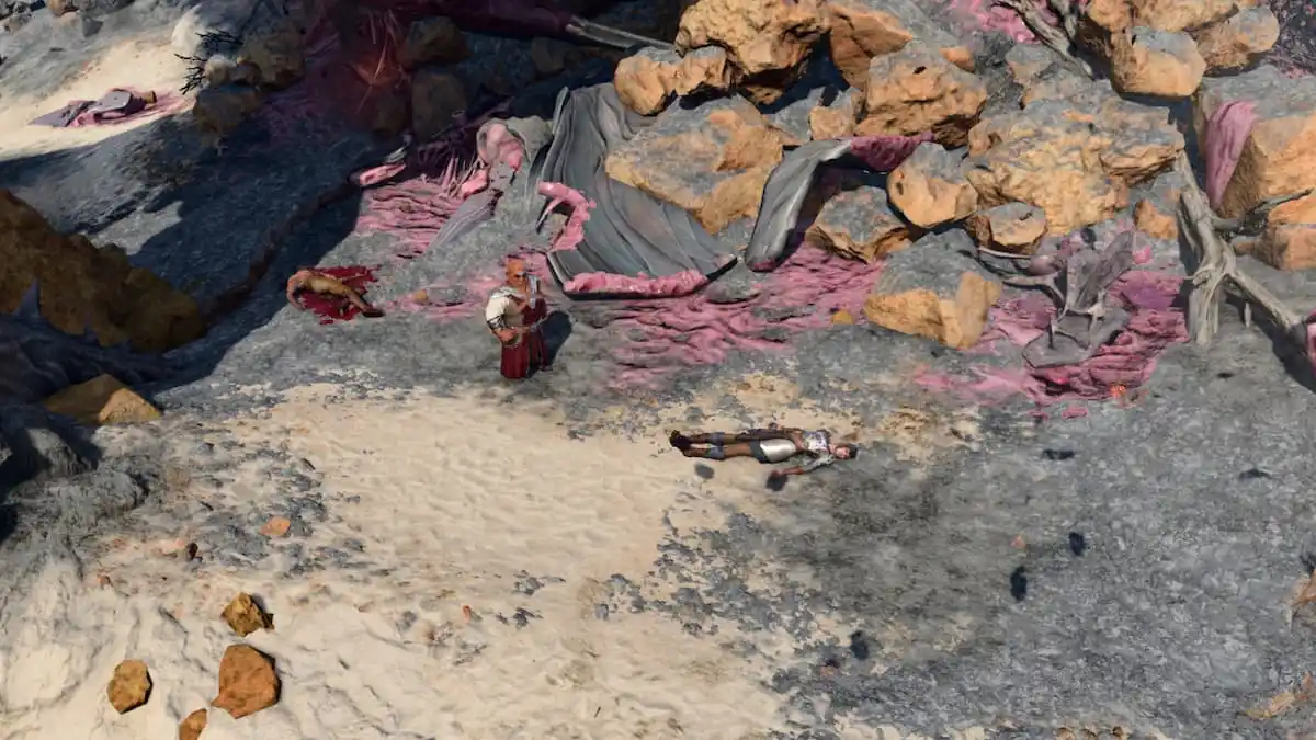 A sandy and rocky beach. On it is a stocky man in a red robe and a woman wearing plate armor with black hair. Guts from a gigantic creature are strewn about in BG3.