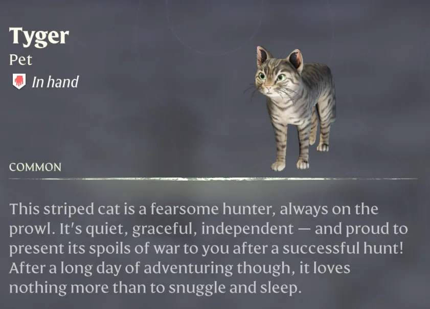 This screenshot shows readers what Tyger, a tamable cat in Enshrouded, looks like. The description reads: "This s