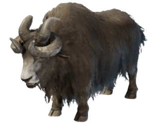 A dark brown yak with four horns from Enshrouded.