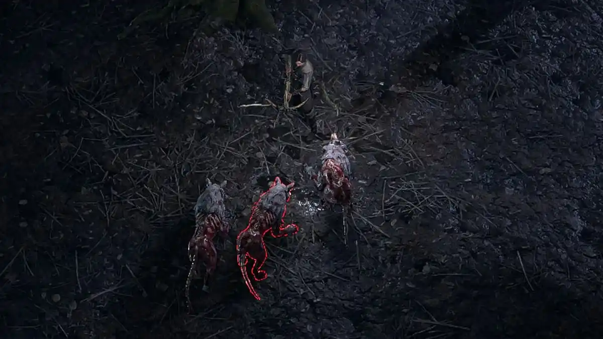 A man holding a crossbow standing in front of a pack of zombified and rotting wolves in Path of Exile 2.