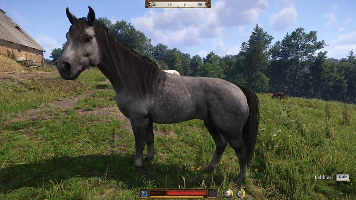 Pebbles the grey mare standing in a grassy field in Kingdom Come: Deliverance 2