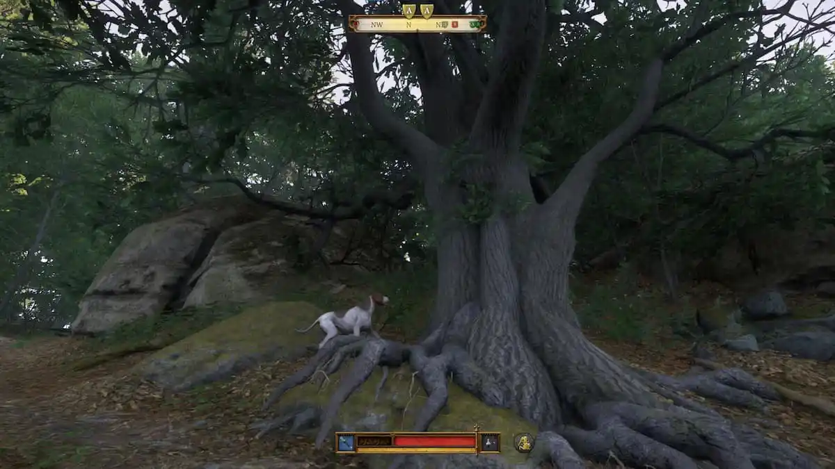 Oak Tree location in Kingdom Come 2