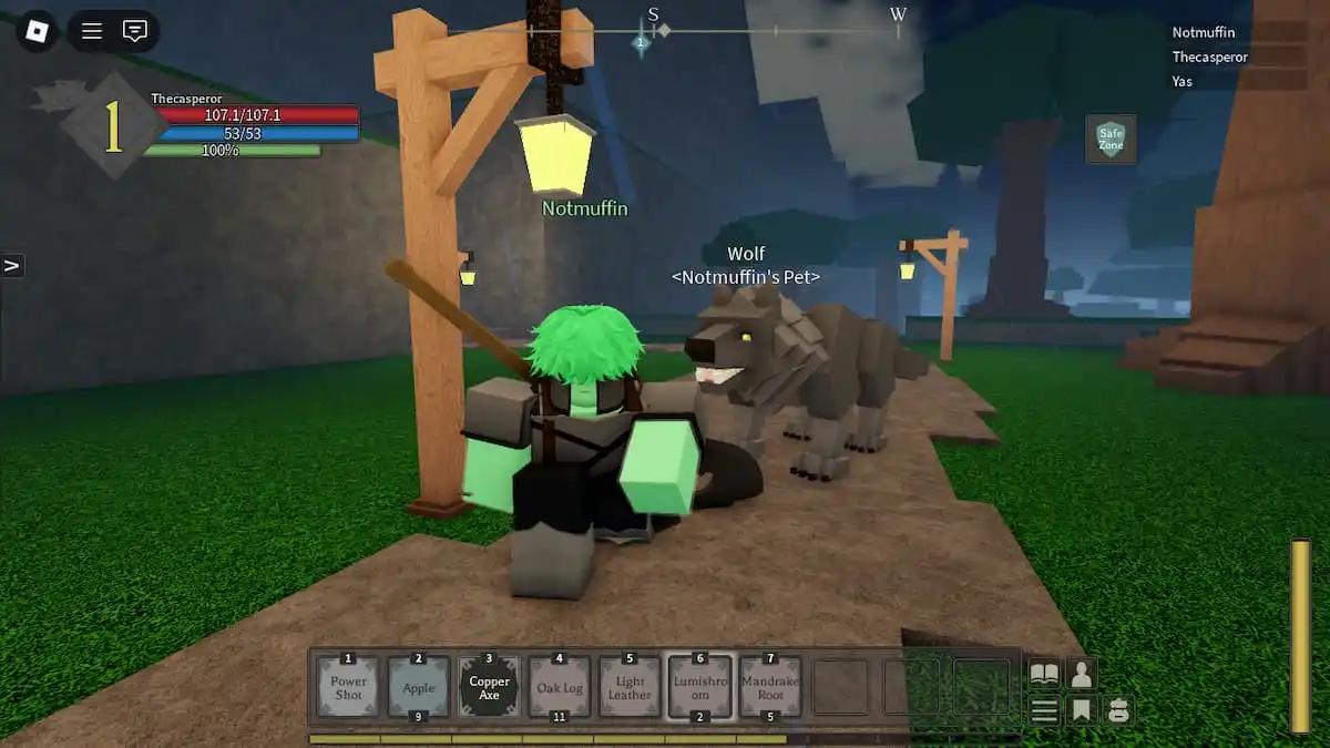 Picture showing a player with a Wolf Pet in Roblox's Rune Slayer.