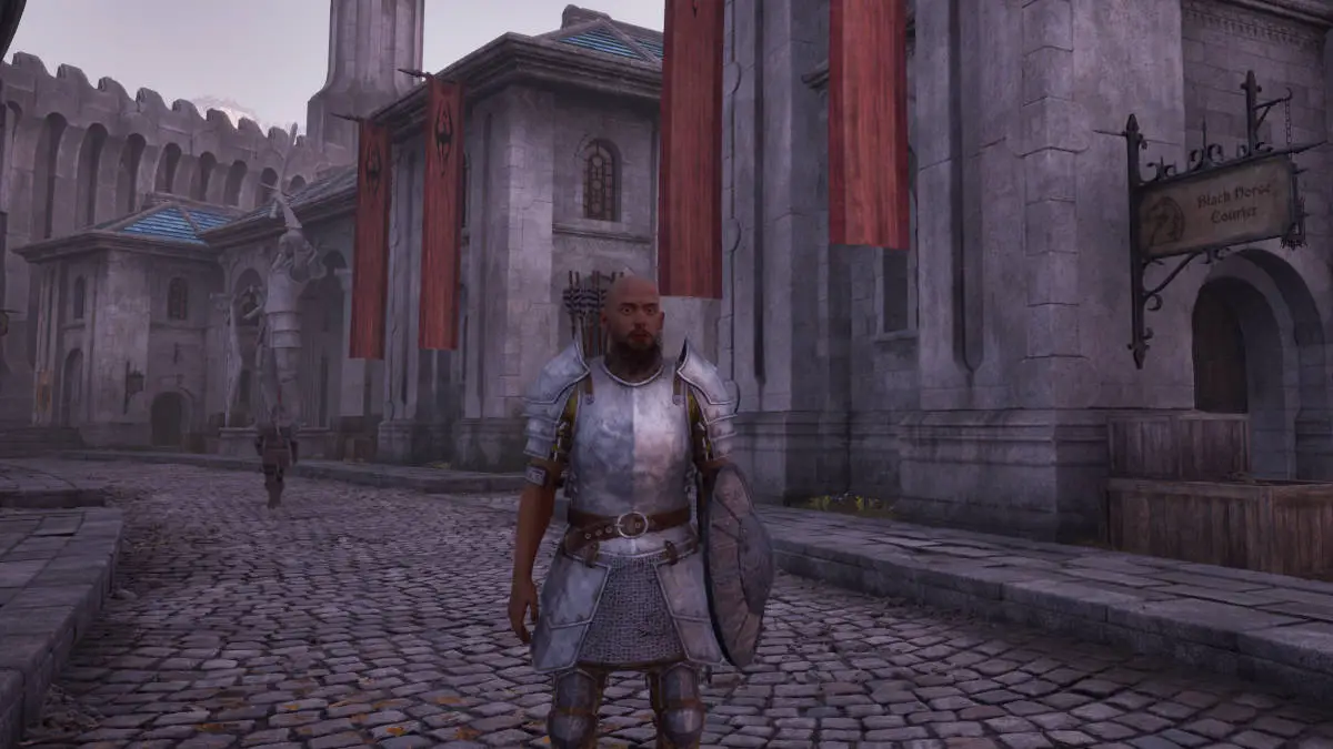 Oblivion Remastered console commands and cheats: the player character in plate armor standing in the middle of the main path.